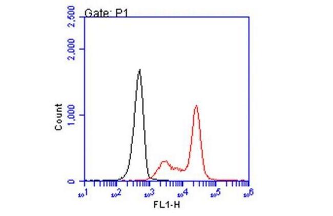 HLA-A2 Antibody in Flow Cytometry (Flow)
