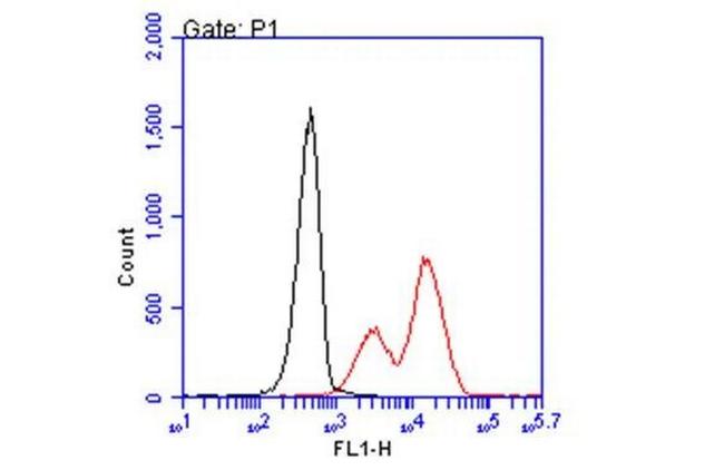HLA-B7 Antibody in Flow Cytometry (Flow)