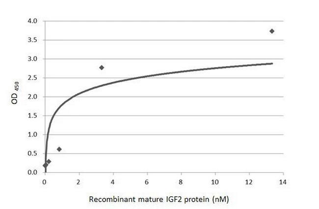 IGF2 Antibody in ELISA (ELISA)