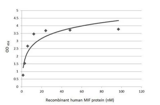 MIF Antibody in ELISA (ELISA)
