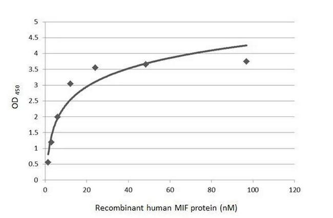 MIF Antibody in ELISA (ELISA)