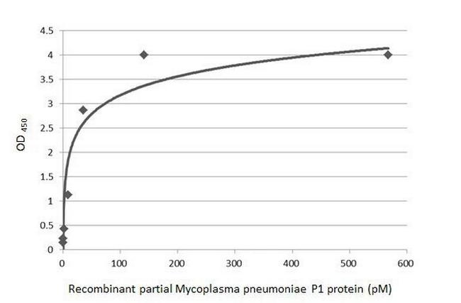 Mycoplasma pneumoniae P1 (strain ATCC 29342/M129/Subtype 1) Antibody in ELISA (ELISA)