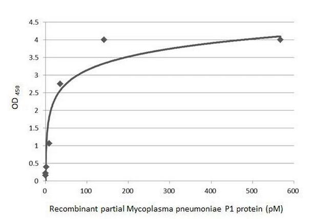Mycoplasma pneumoniae P1 (strain ATCC 29342/M129/Subtype 1) Antibody in ELISA (ELISA)