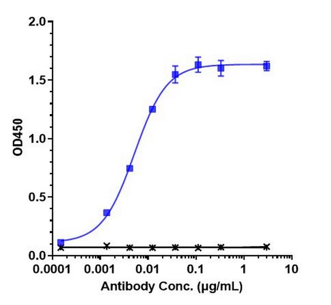 Brentuximab Chimeric Antibody in ELISA (ELISA)