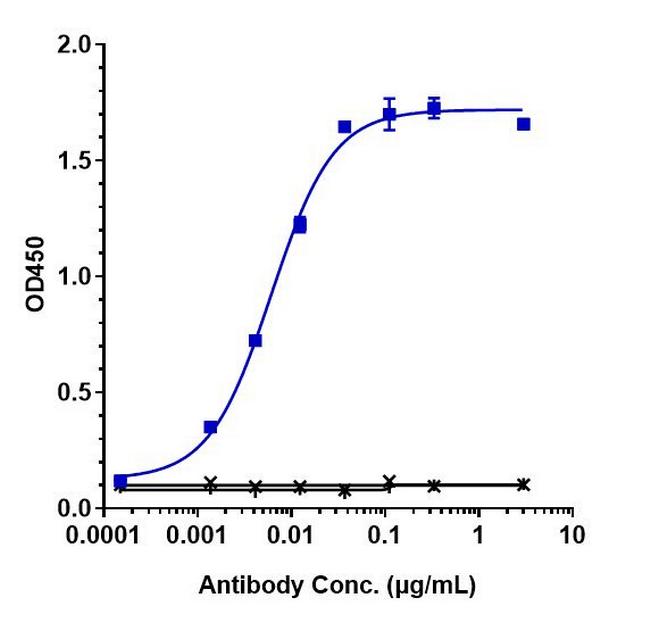 CTGF (Pamrevlumab Biosimilar) Antibody in ELISA (ELISA)