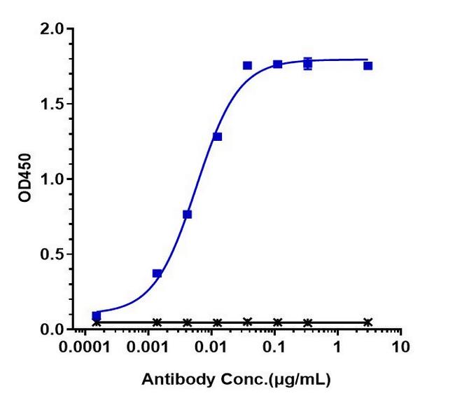 Her-2 (ErbB2) (Trastuzumab Biosimilar) Antibody in ELISA (ELISA)