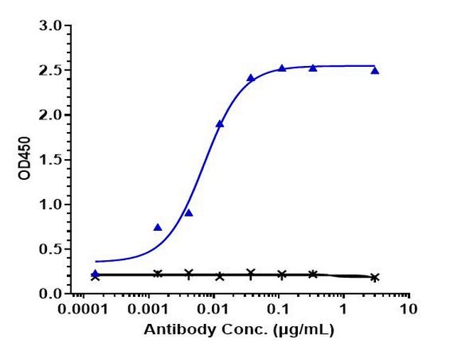 FLK1 (VEGF Receptor 2) (Ramucirumab Biosimilar) Antibody in ELISA (ELISA)