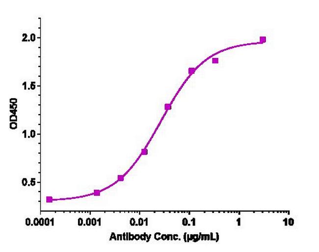 alpha Synuclein (Cinpanemab Biosimilar) Antibody in ELISA (ELISA)