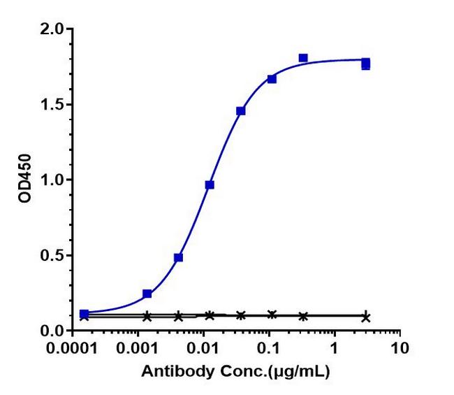 DLL4/VEGF (Navicixizumab Biosimilar) Antibody in ELISA (ELISA)