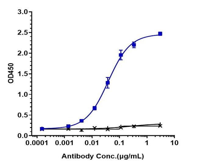 LOXL2 (Simtuzumab Biosimilar) Antibody in ELISA (ELISA)