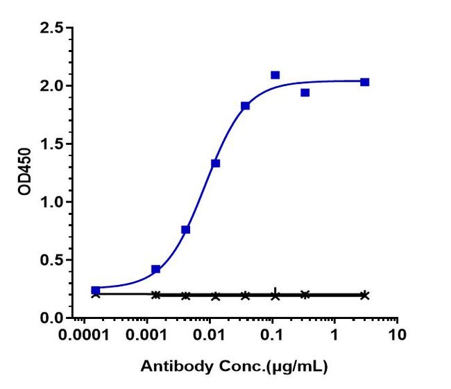 BAFF Receptor (CD268) (Ianalumab Biosimilar) Antibody in ELISA (ELISA)
