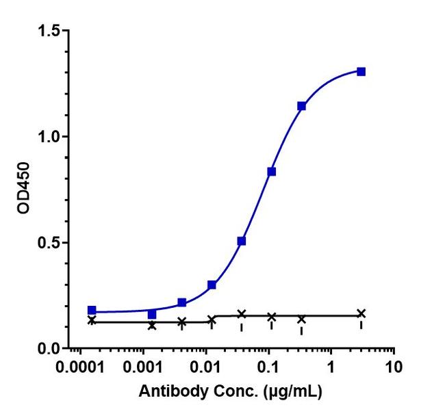 CD70 (Cusatuzumab Biosimilar) Antibody in ELISA (ELISA)