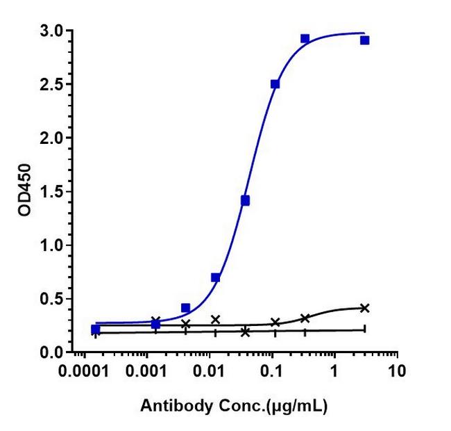 IL-17A (Secukinumab Biosimilar) Antibody in ELISA (ELISA)