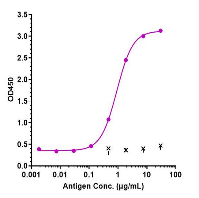 Eculizumab Humanized Antibody in ELISA (ELISA)