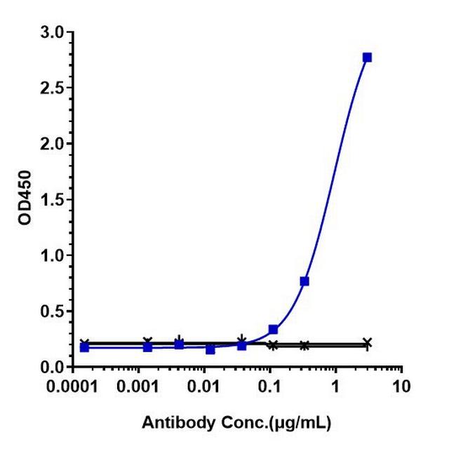 beta Amyloid (Aducanumab Biosimilar) Antibody in ELISA (ELISA)