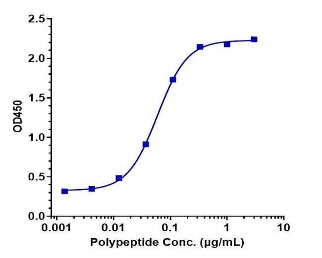 beta Amyloid (Gantenerumab Biosimilar) Antibody in ELISA (ELISA)