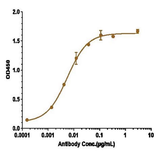 beta Amyloid (Biosimilar) Antibody in ELISA (ELISA)