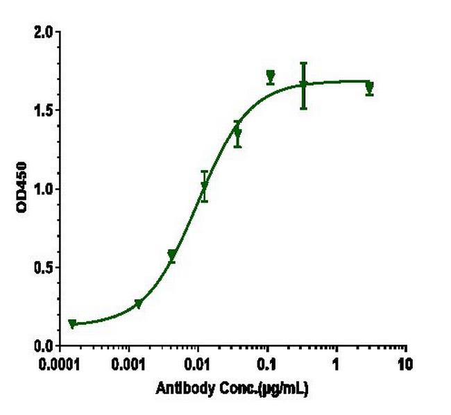 beta Amyloid (Biosimilar) Antibody in ELISA (ELISA)