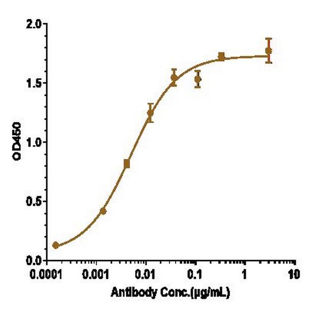 beta Amyloid (Biosimilar) Antibody in ELISA (ELISA)