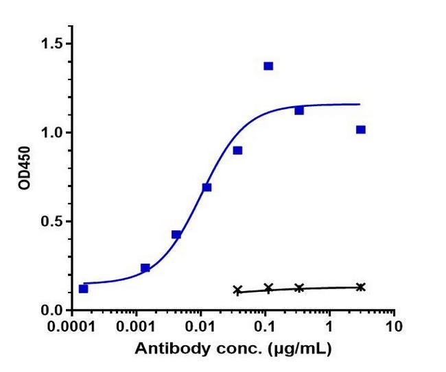 EGFR (Zalutumumab Biosimilar) Antibody in ELISA (ELISA)