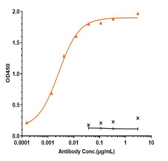 ICAM-1 (CD54) (Bersanlimab Biosimilar) Antibody in ELISA (ELISA)