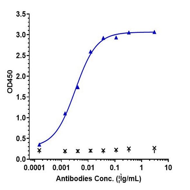 IFN gamma (Biosimilar) Antibody in ELISA (ELISA)