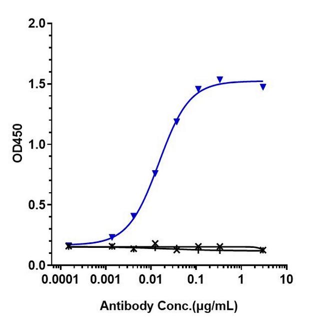 Human IgE (Talizumab Biosimilar) Antibody in ELISA (ELISA)