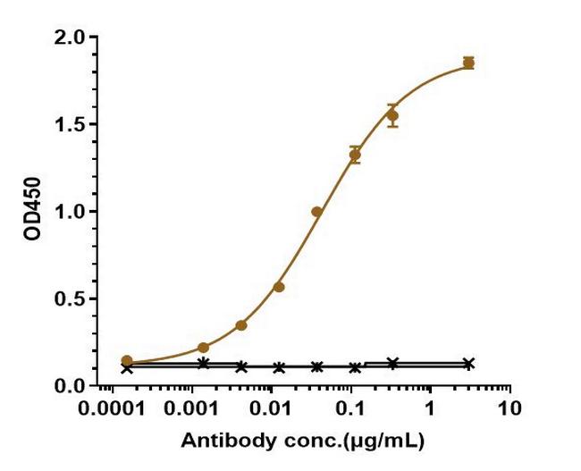 IL-23 p19 (Risankizumab Biosimilar) Antibody in ELISA (ELISA)