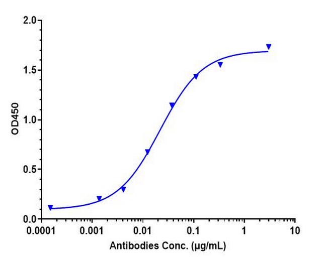 Tau (Tilavonemab Biosimilar) Antibody in ELISA (ELISA)