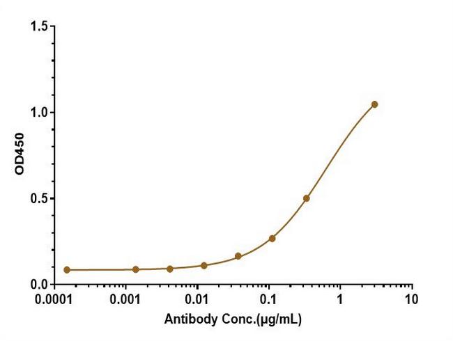 beta Amyloid (Biosimilar) Antibody in ELISA (ELISA)
