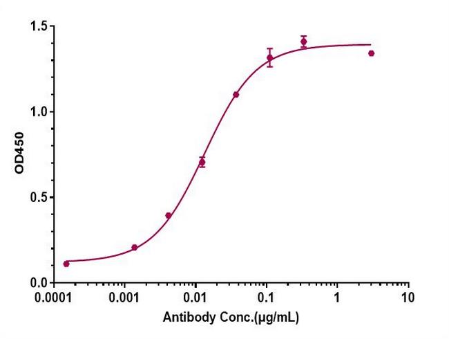beta Amyloid (Biosimilar) Antibody in ELISA (ELISA)