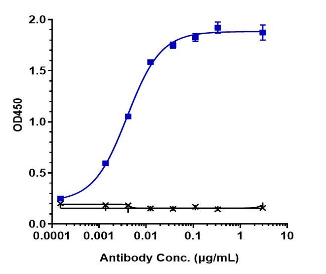 VEGFC (Biosimilar) Antibody in ELISA (ELISA)