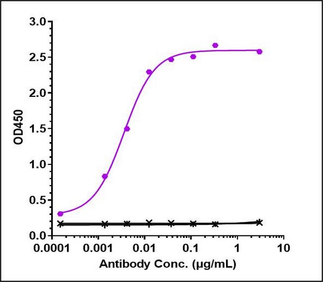 beta Amyloid (Lecanemab Biosimilar) Antibody in ELISA (ELISA)