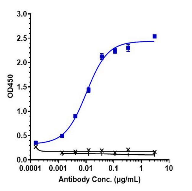 Transferrin Receptor/Iduronate 2 Sulfatase (Pabinafusp Alfa Biosimilar) Antibody in ELISA (ELISA)