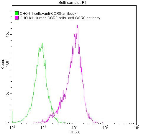 CCR8 Antibody in Flow Cytometry (Flow)