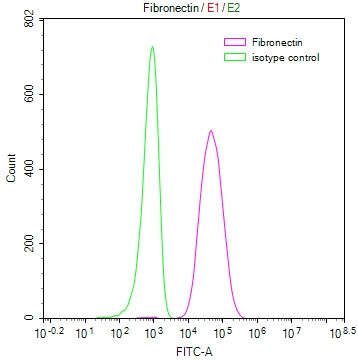 Fibronectin Antibody in Flow Cytometry (Flow)