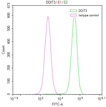 CHOP Antibody in Flow Cytometry (Flow)