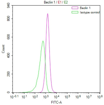 Beclin 1 Antibody in Flow Cytometry (Flow)