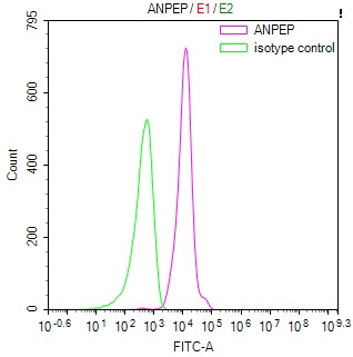 CD13 Antibody in Flow Cytometry (Flow)