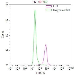Fibronectin Antibody in Flow Cytometry (Flow)