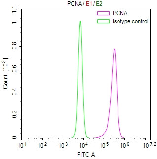 PCNA Antibody in Flow Cytometry (Flow)