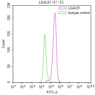 Galectin 1 Antibody in Flow Cytometry (Flow)