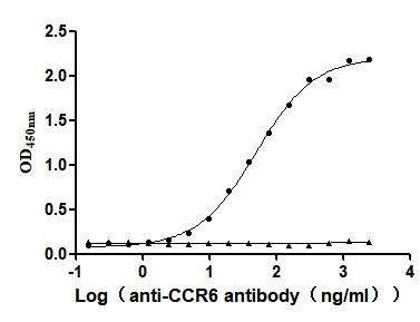 CCR6 Antibody in ELISA (ELISA)