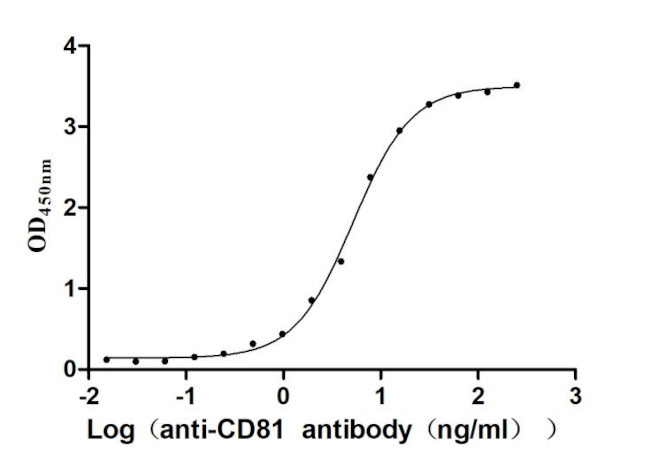 CD81 Antibody in ELISA (ELISA)