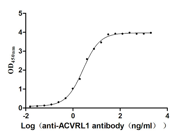 ACVRL1 Antibody in ELISA (ELISA)