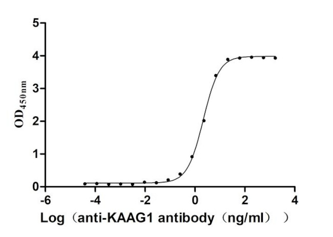 KAAG1 Antibody in ELISA (ELISA)