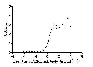 DKK1 Antibody in ELISA (ELISA)