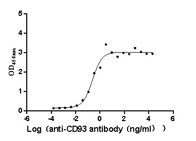 CD93 Antibody in ELISA (ELISA)