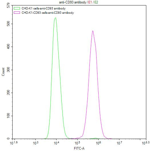 CD93 Antibody in Flow Cytometry (Flow)