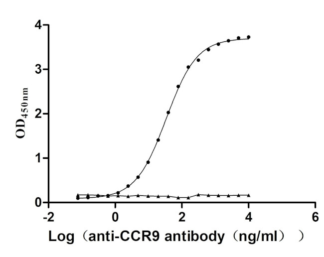 CCR9 Antibody in ELISA (ELISA)